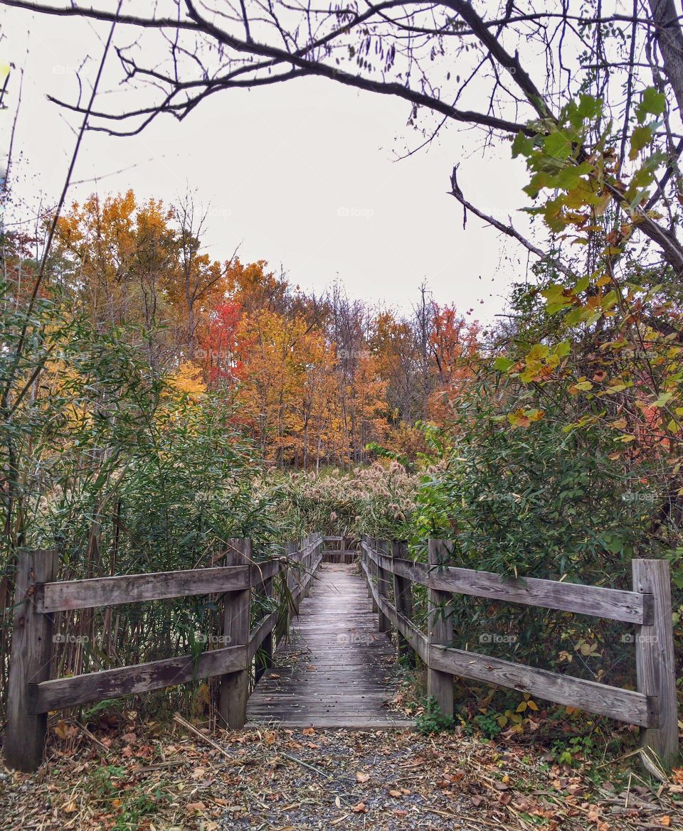 A Boardwalk entrance to the fall forest