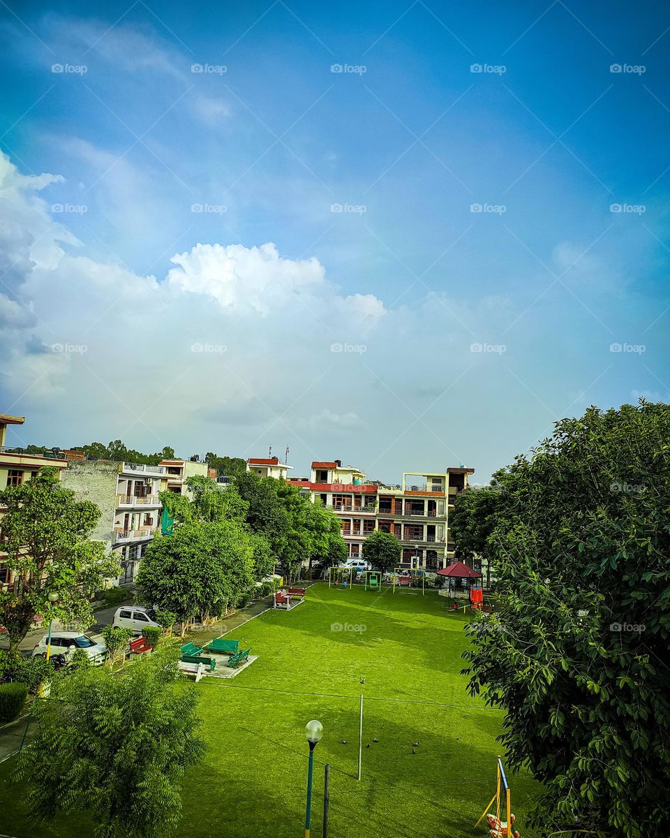 beautiful society in nature