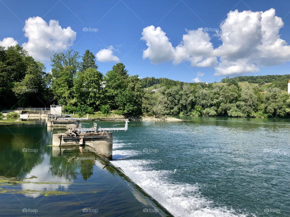 Meadow landscape in summer