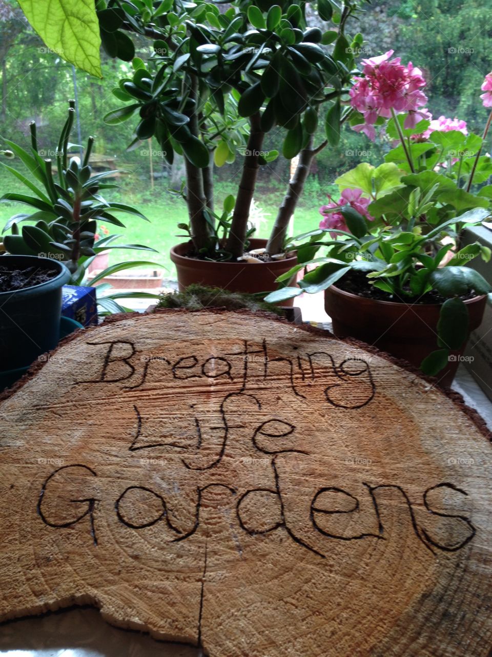 Breathing Life Gardens