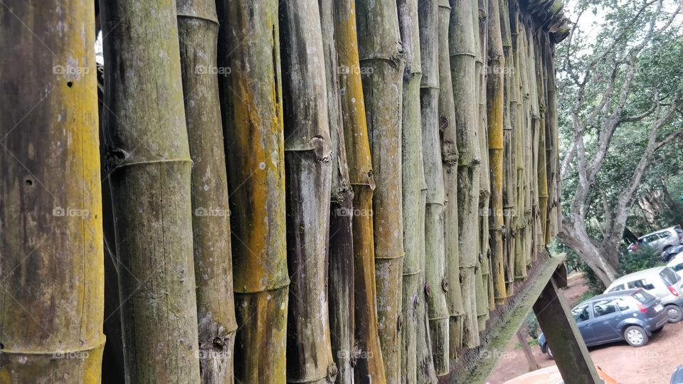 Wall of a tree house