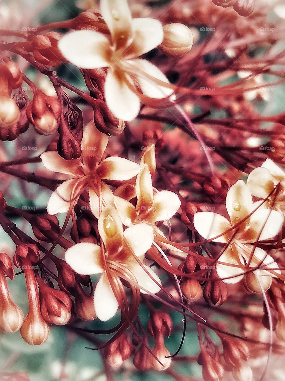 its raining and I'm have a lot of things to do....