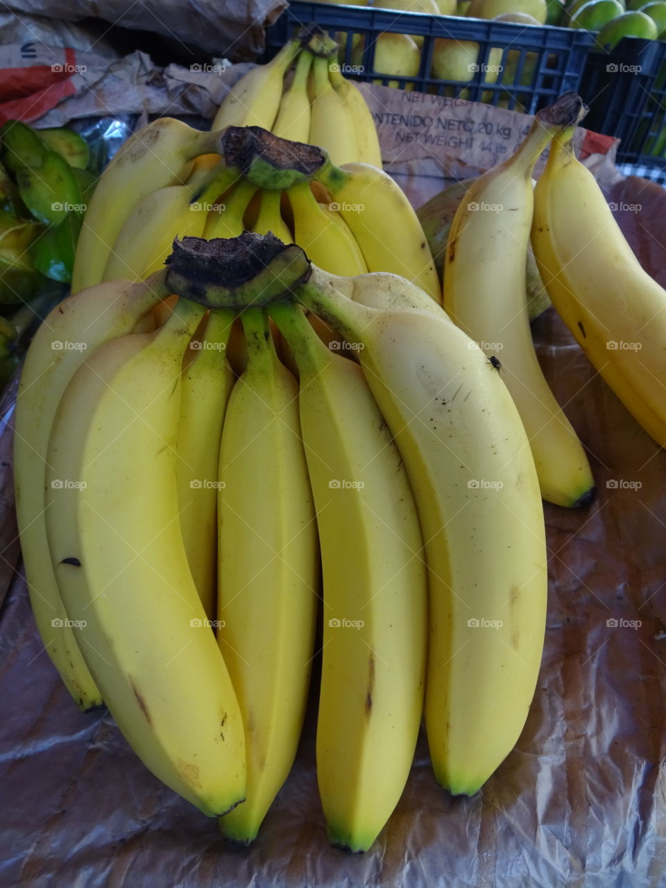 Banana from Tabasco