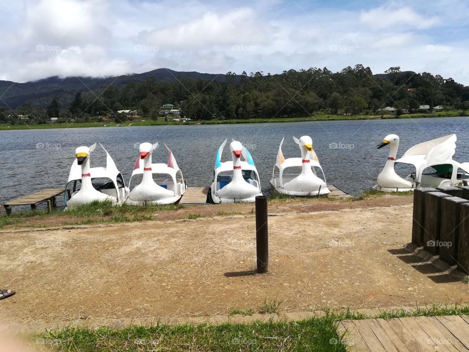 Wanna have a ride?????😇