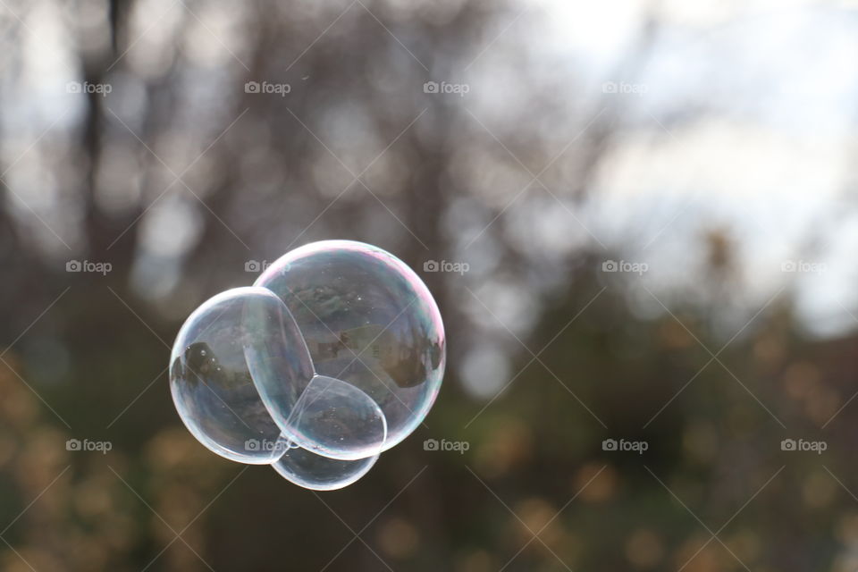 Close-up of bubble floating