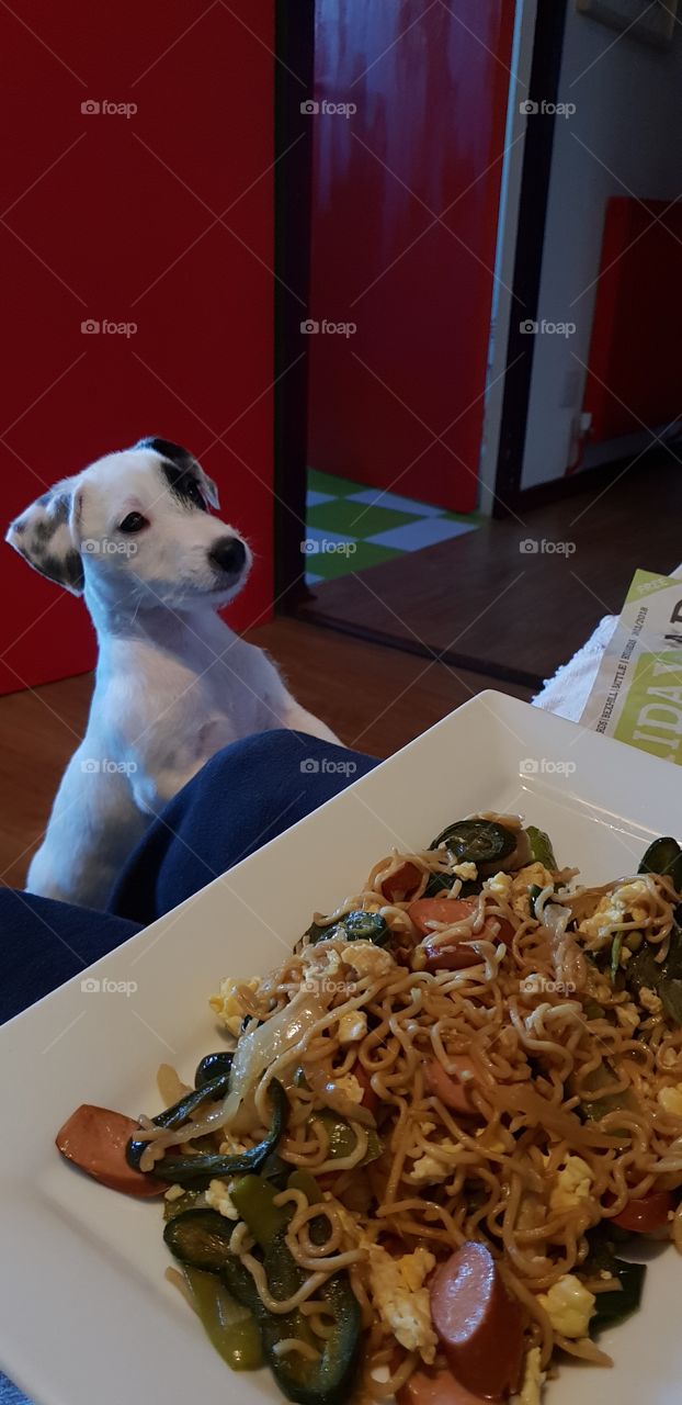 homemade fried noodle