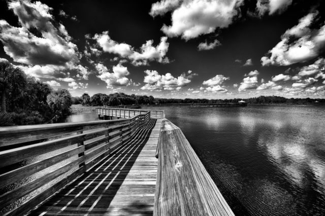 Let's take a walk