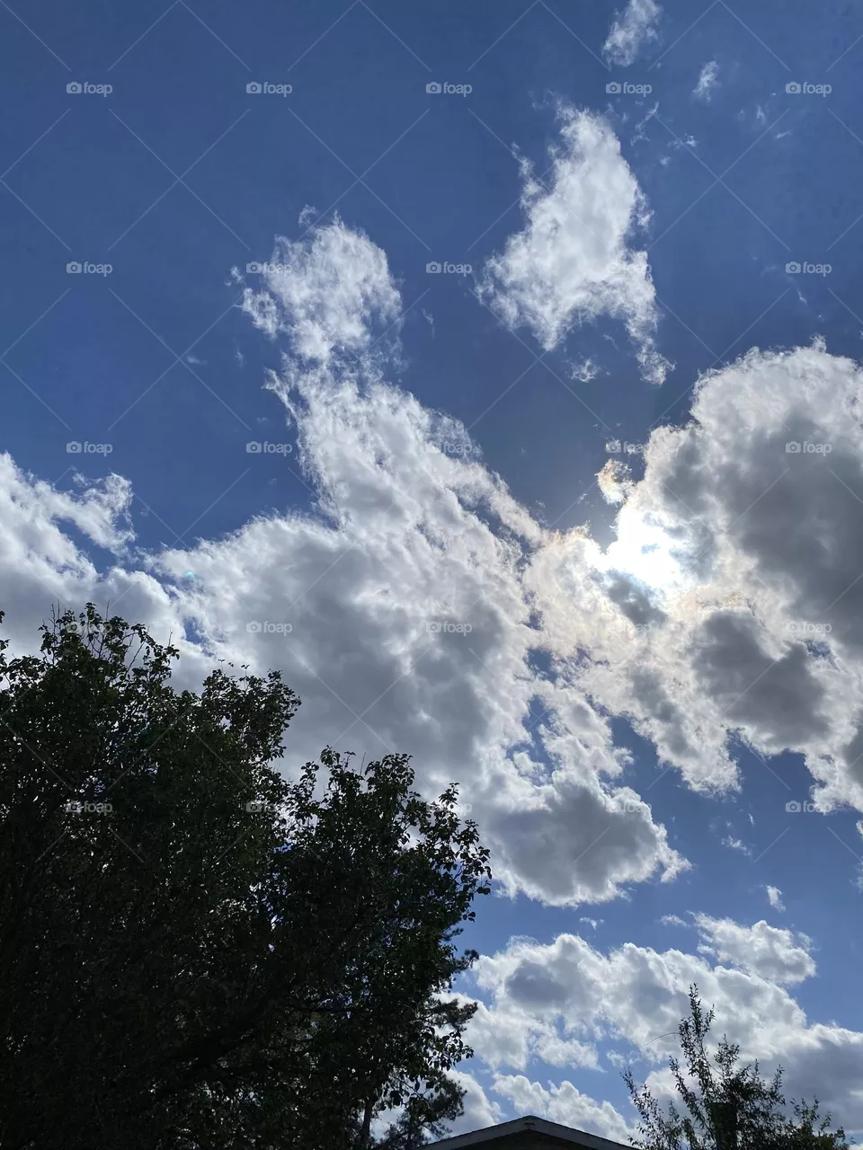 A beautiful view 