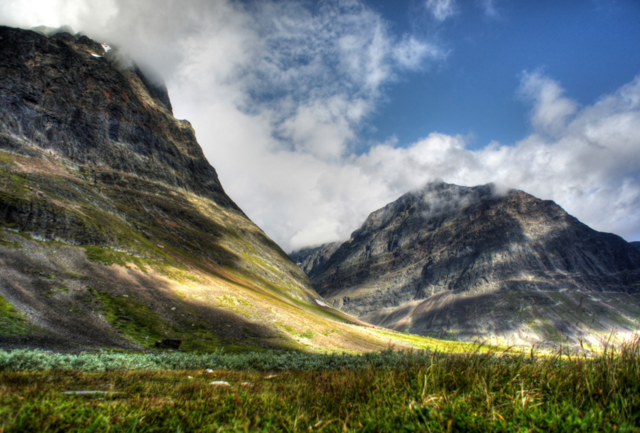 landscape