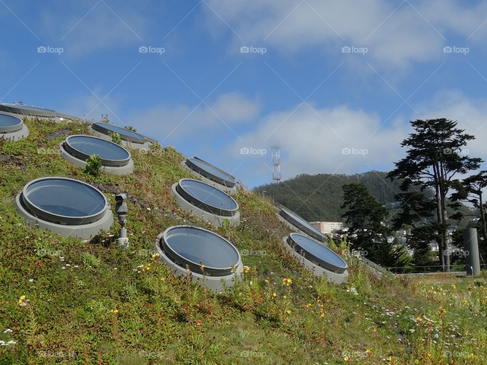 Environmental Architecture In San Francisco 
