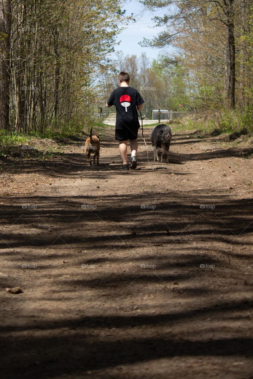Person wearing black shirt and shorts taking the dogs for a walk in the woods on a trail.