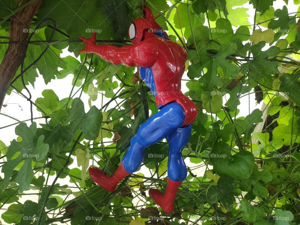 a image of Spiderman toy climbing on tree