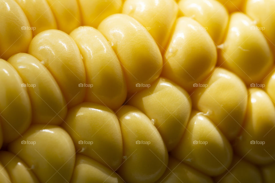 yellow corn background,  harvest season, healthy organic nutrition, maize cob, golden textured wallpaper.