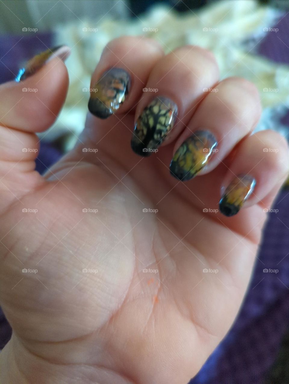 dusk setting landscape manicure. diy ambition
