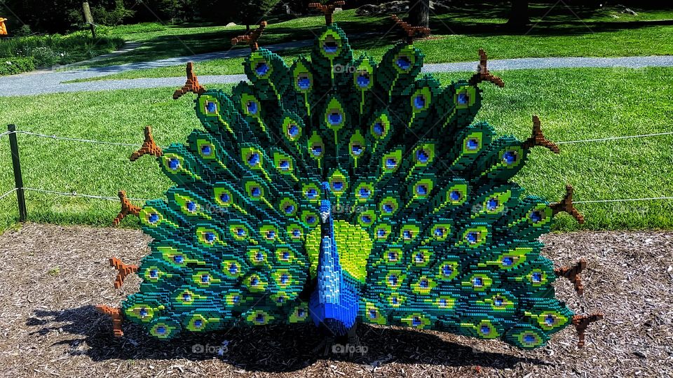 Lego Peacock