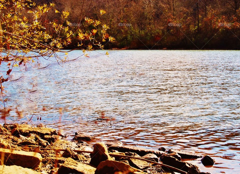 River on a Fall day