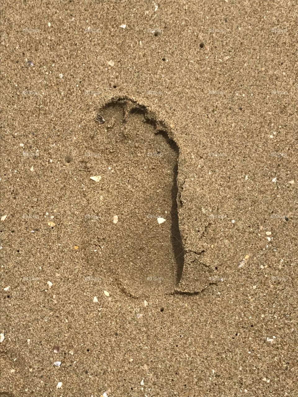 Footprint in the sand