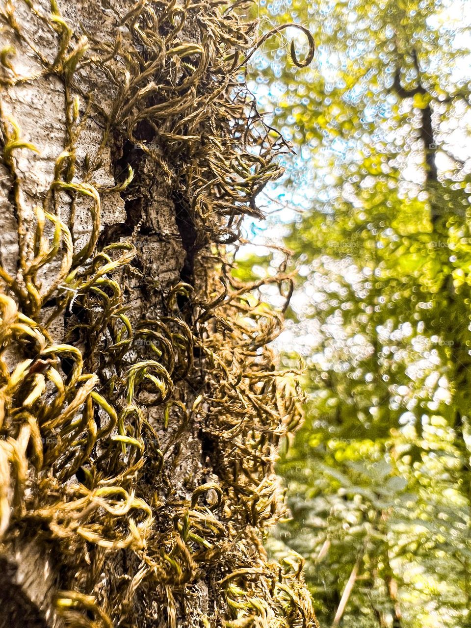 Thinking about things that you can not change is like deliberately trapping your thoughts in traffic.
