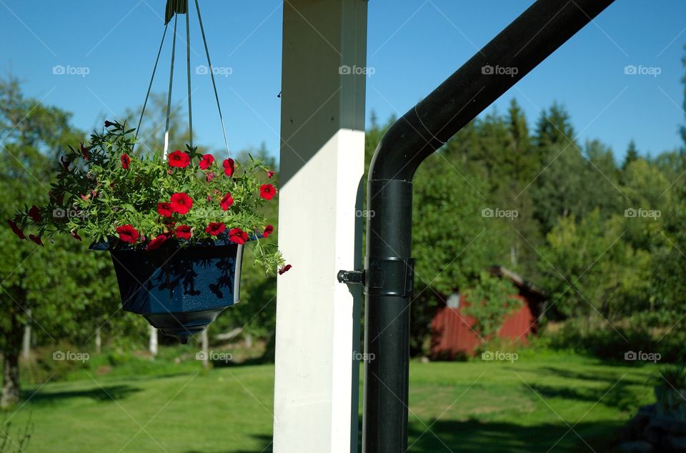 A flower pot hanging on a porch.