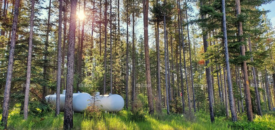 White propane tanks in the forest in morning sunshine casting an interesting and eye catching shadow