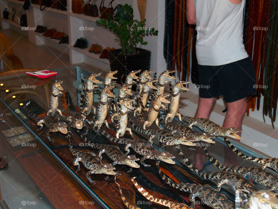 Crocodile shop