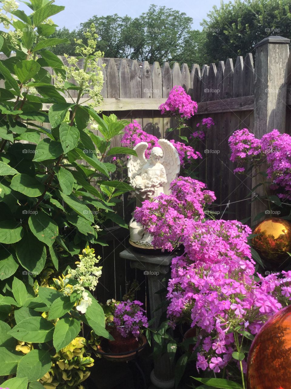 Magical Garden in July  