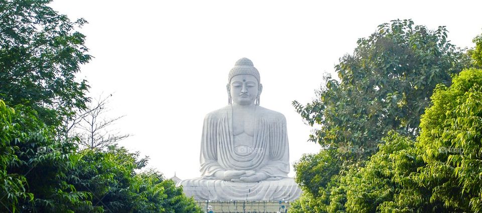 Giant Buddha Statue in India