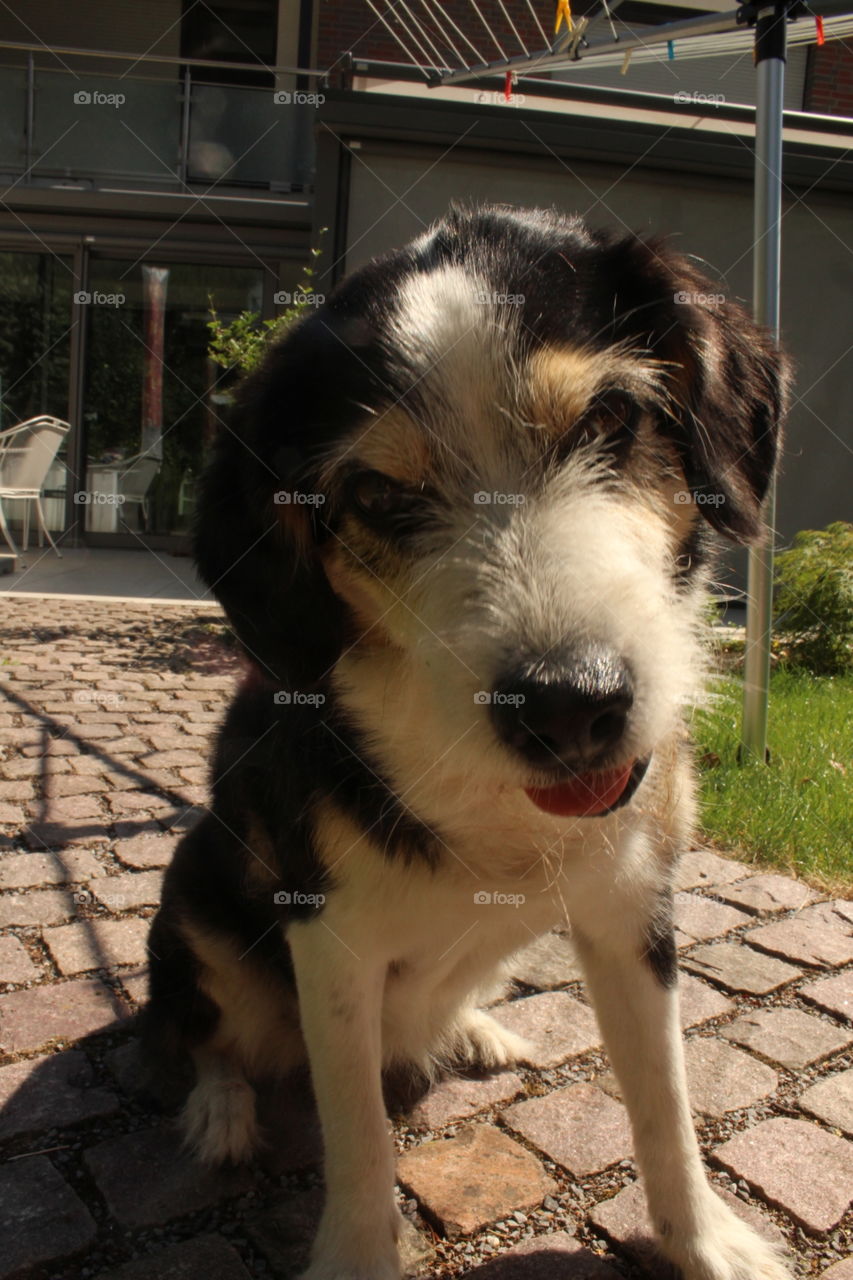 What do you want from me?