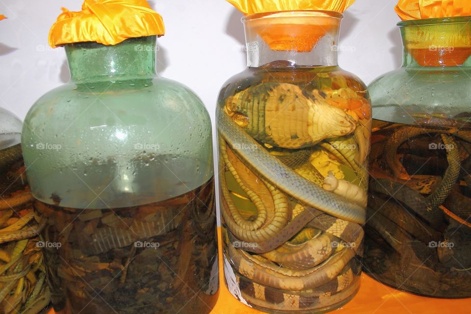 glass jars with preserved in alcohol snakes and scorpions.