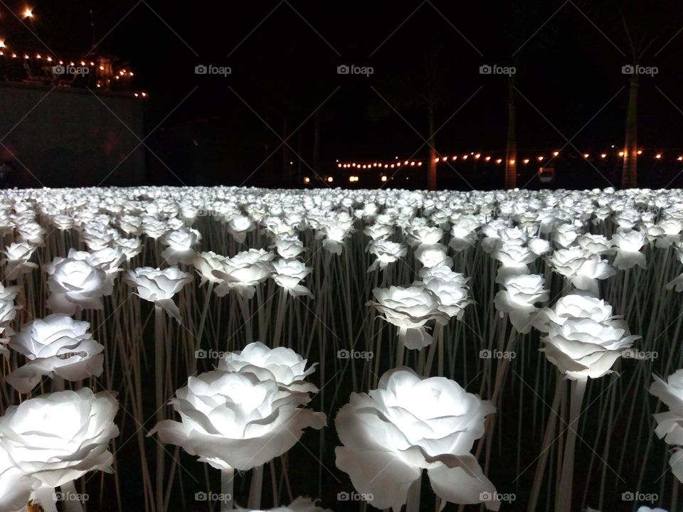One of my favorite tourists spots in Cebu City “10k ROSES”