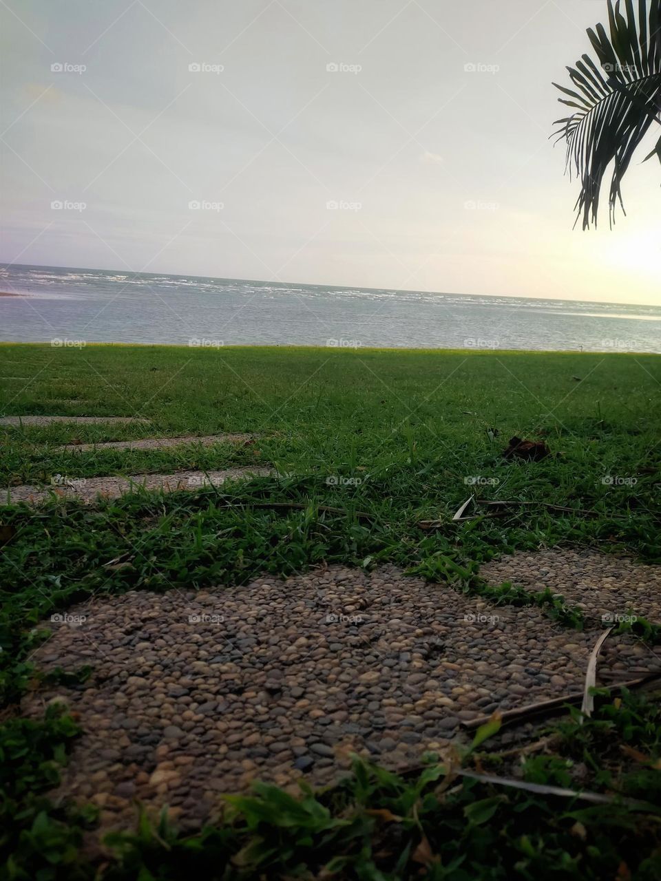 Sea view in the evening, seeing the sunlight