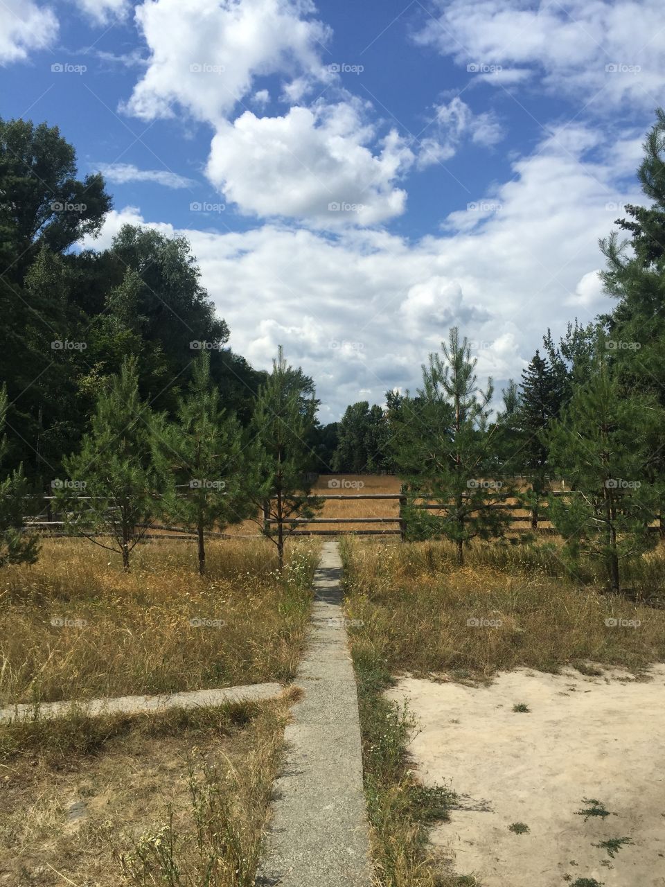 Fence in the park