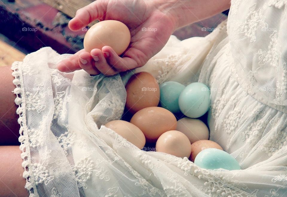 Homestead eggs