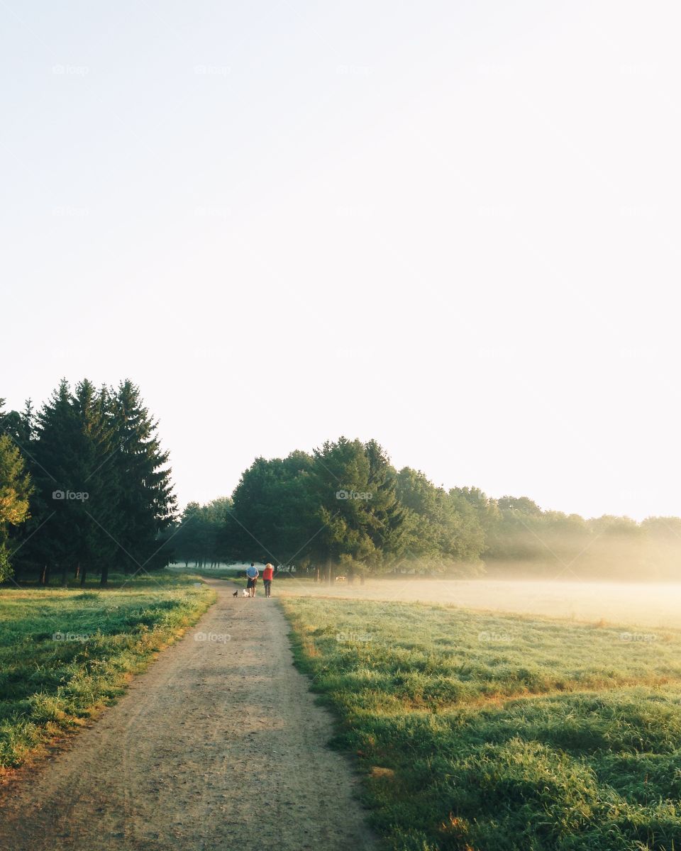 Beautiful foggy morning