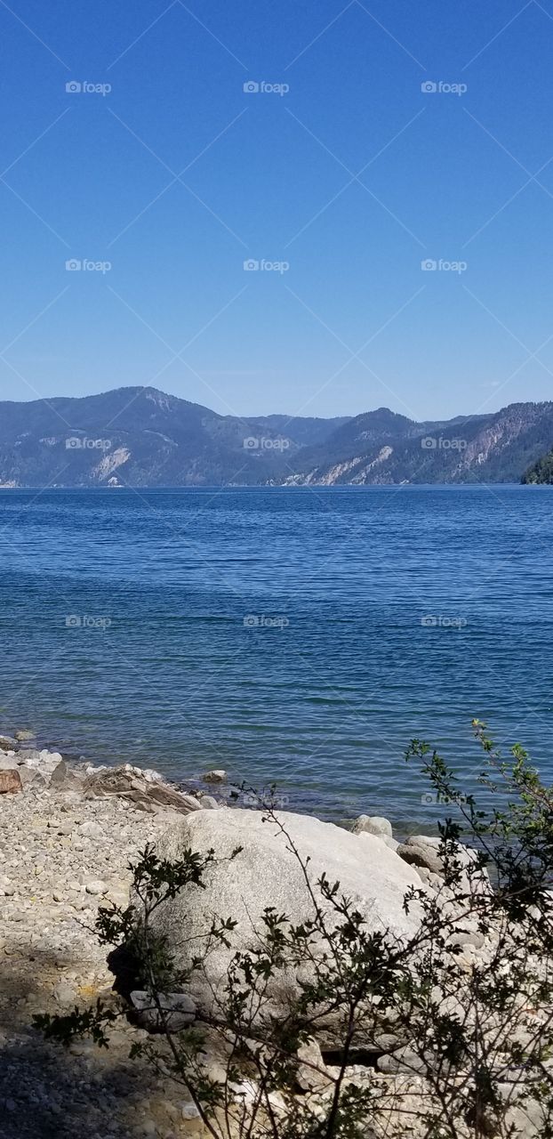rocky beach with view of lake and mountains with a boulder and branches on a sunny spring day