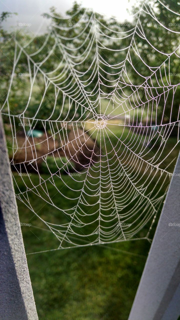 Web. taken outside on our deck in am