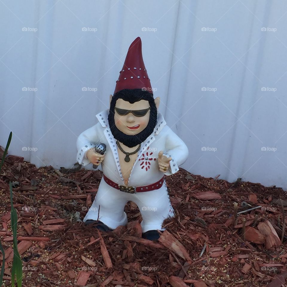 Elvis gnome 