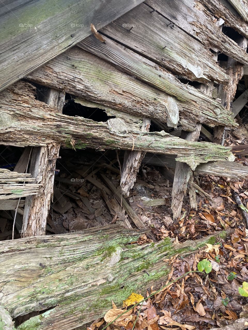Old log house