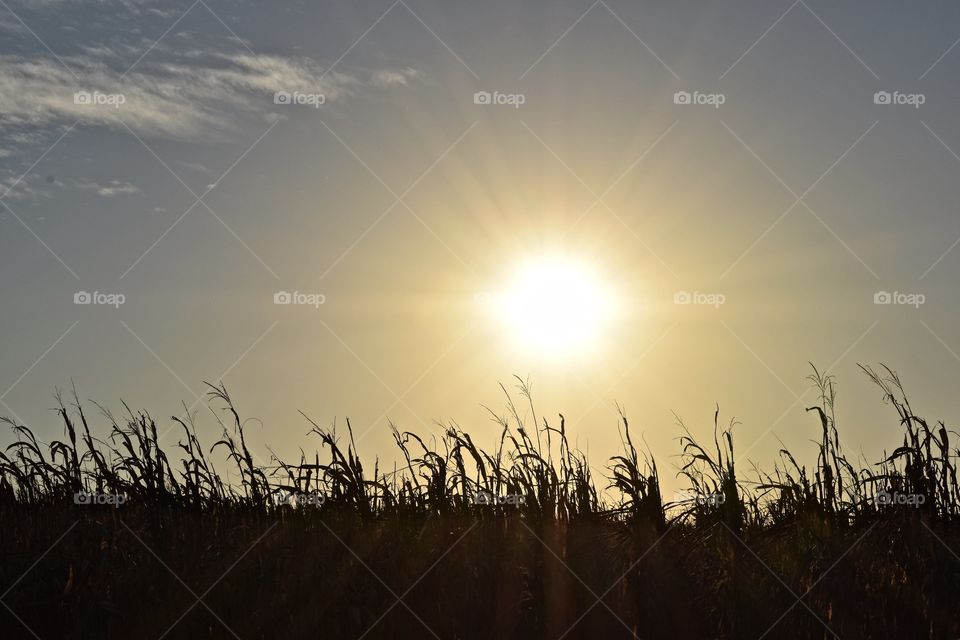 Sunset in Pennsylvania