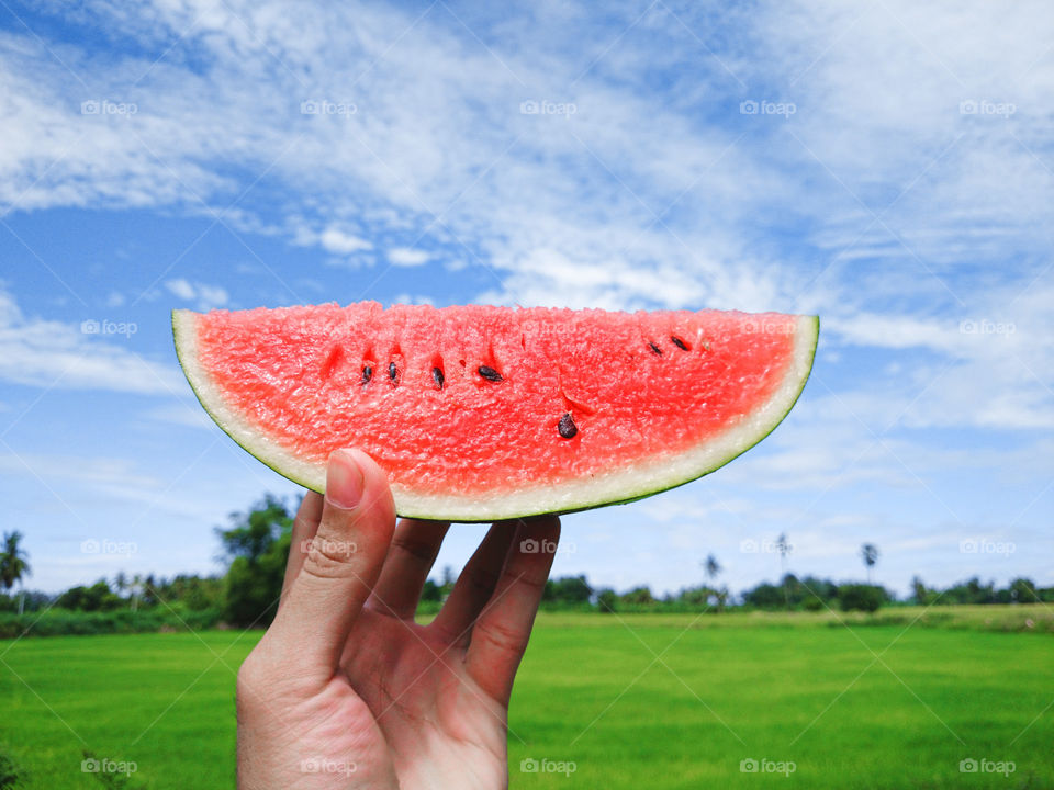 watermelon on hand. watermelon on hand, blue sky and paddy field