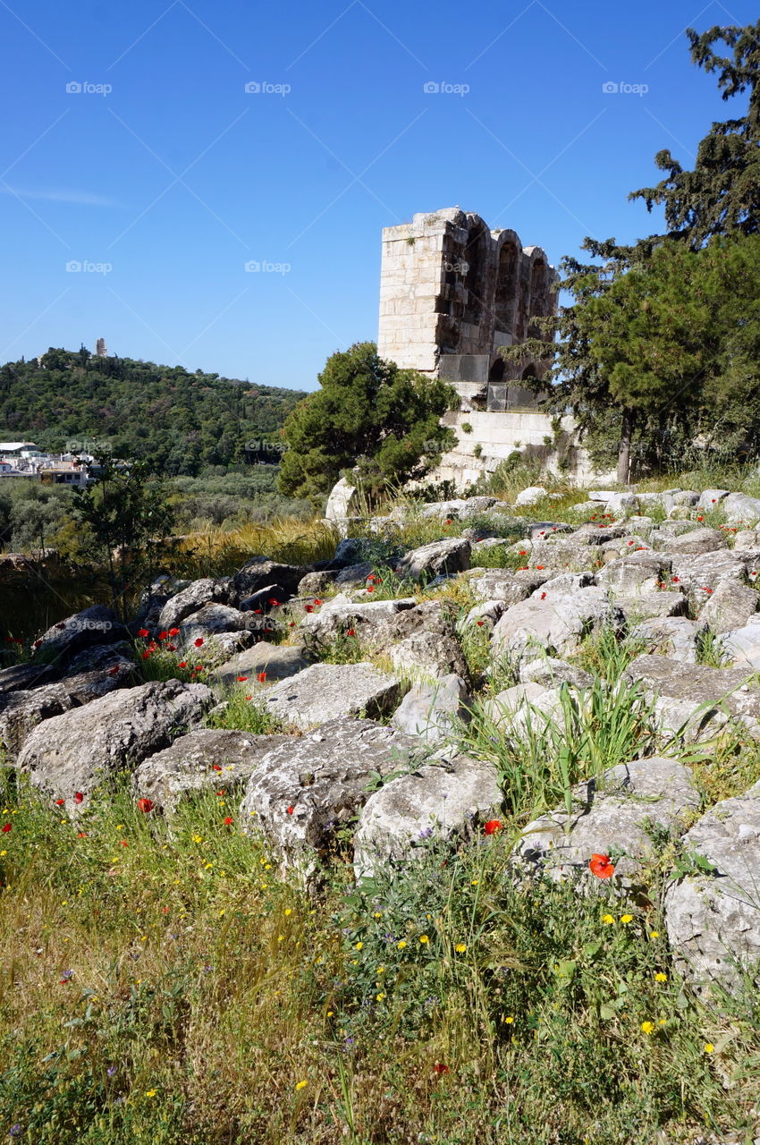 wild flowers and grass around ancient ruins