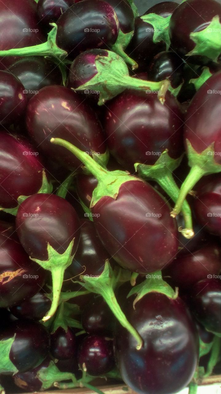 Abundence of bright fresh healthy
baby eggplants