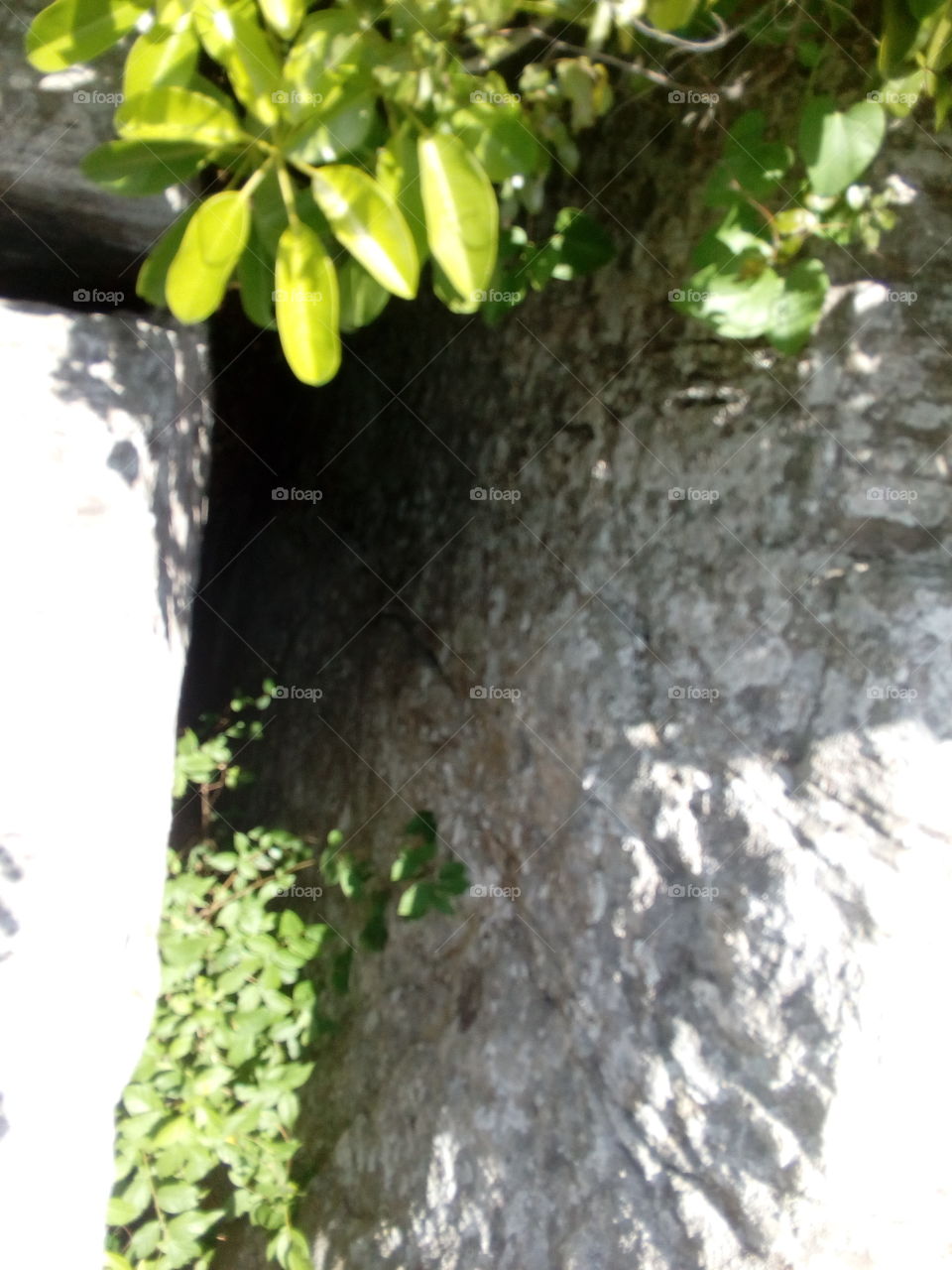 this picture i captured by on the rock .it's hole