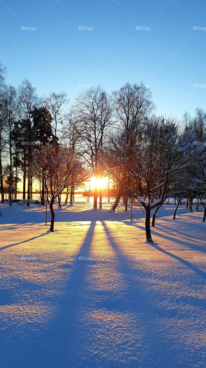 sunny day in winterland