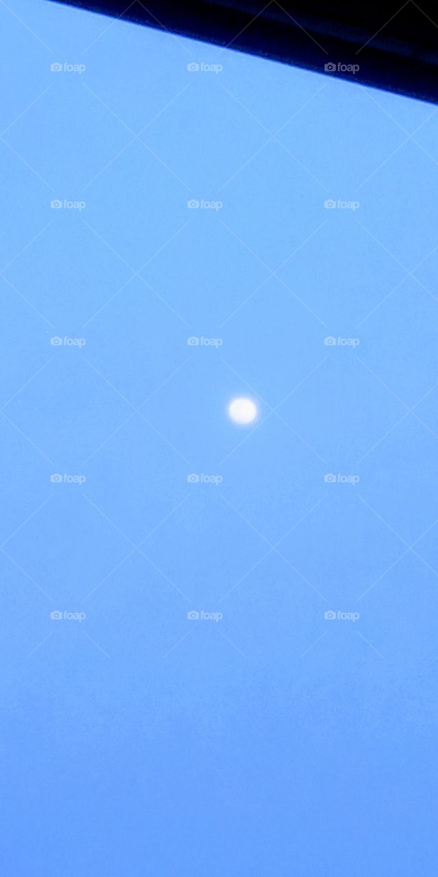 the moonlight on day