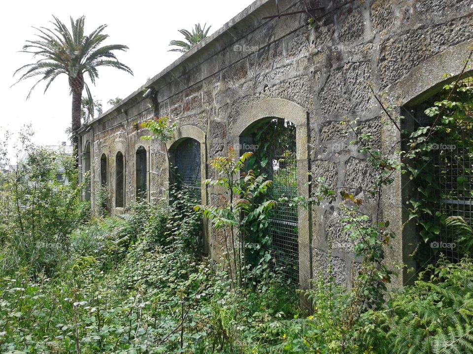 Ruins of "Pazo Solita"