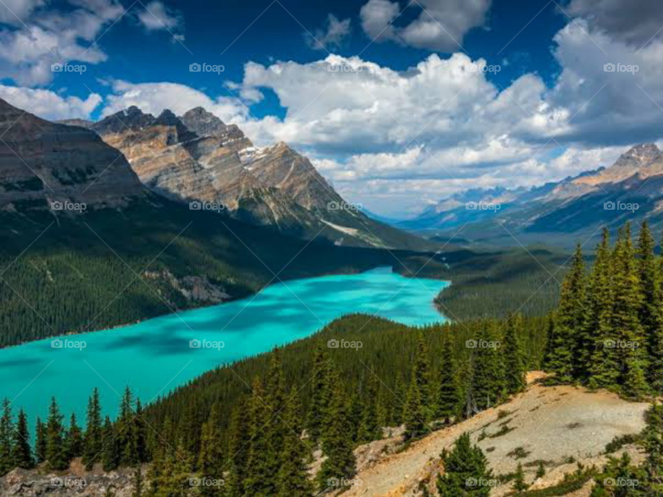 The Beautiful Nature Vibes