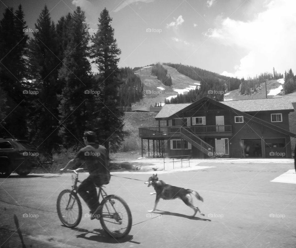 Best friends . Mountain bike ride with a dog