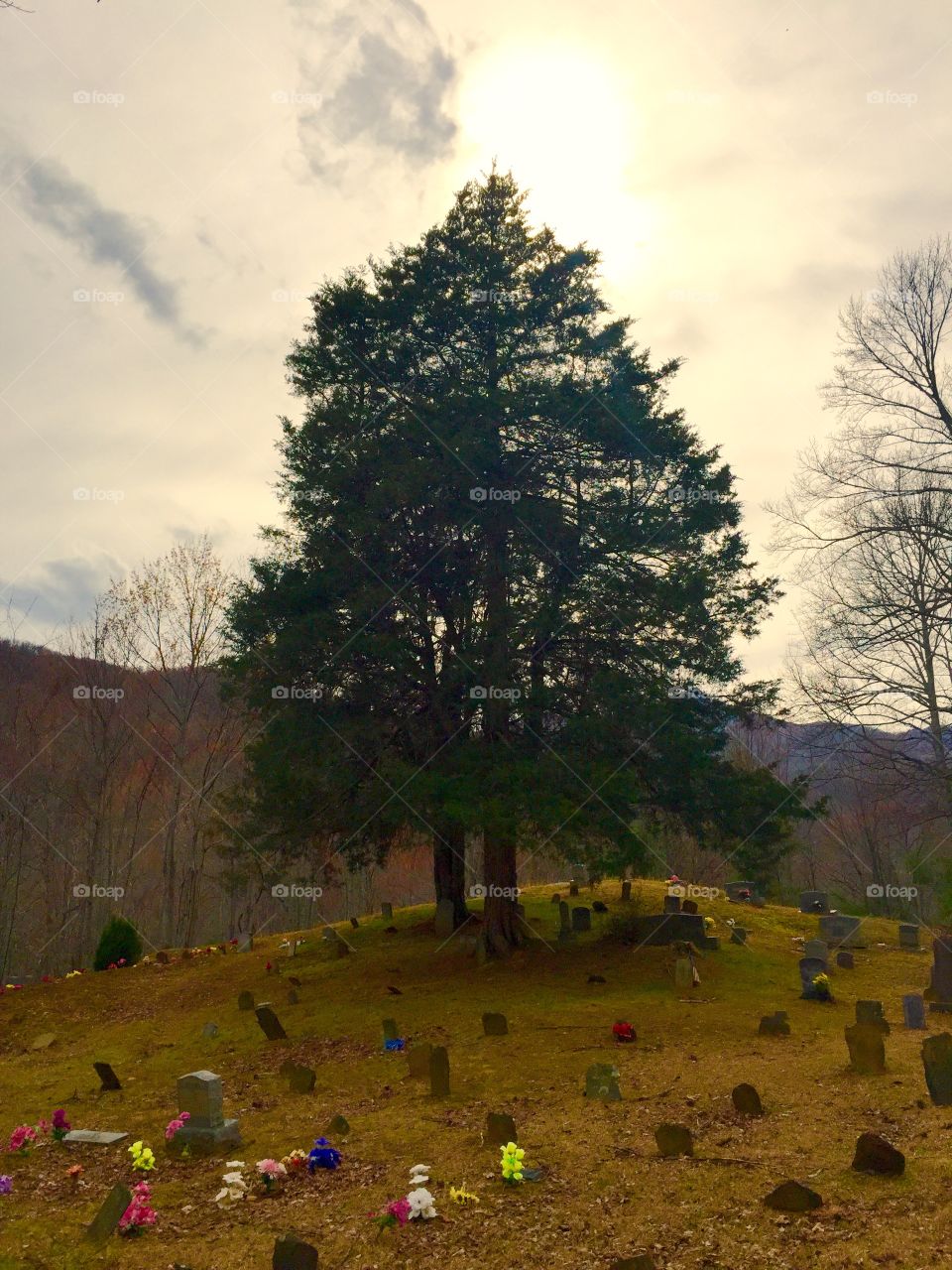 Family Plot. Family cemetery, Tennessee