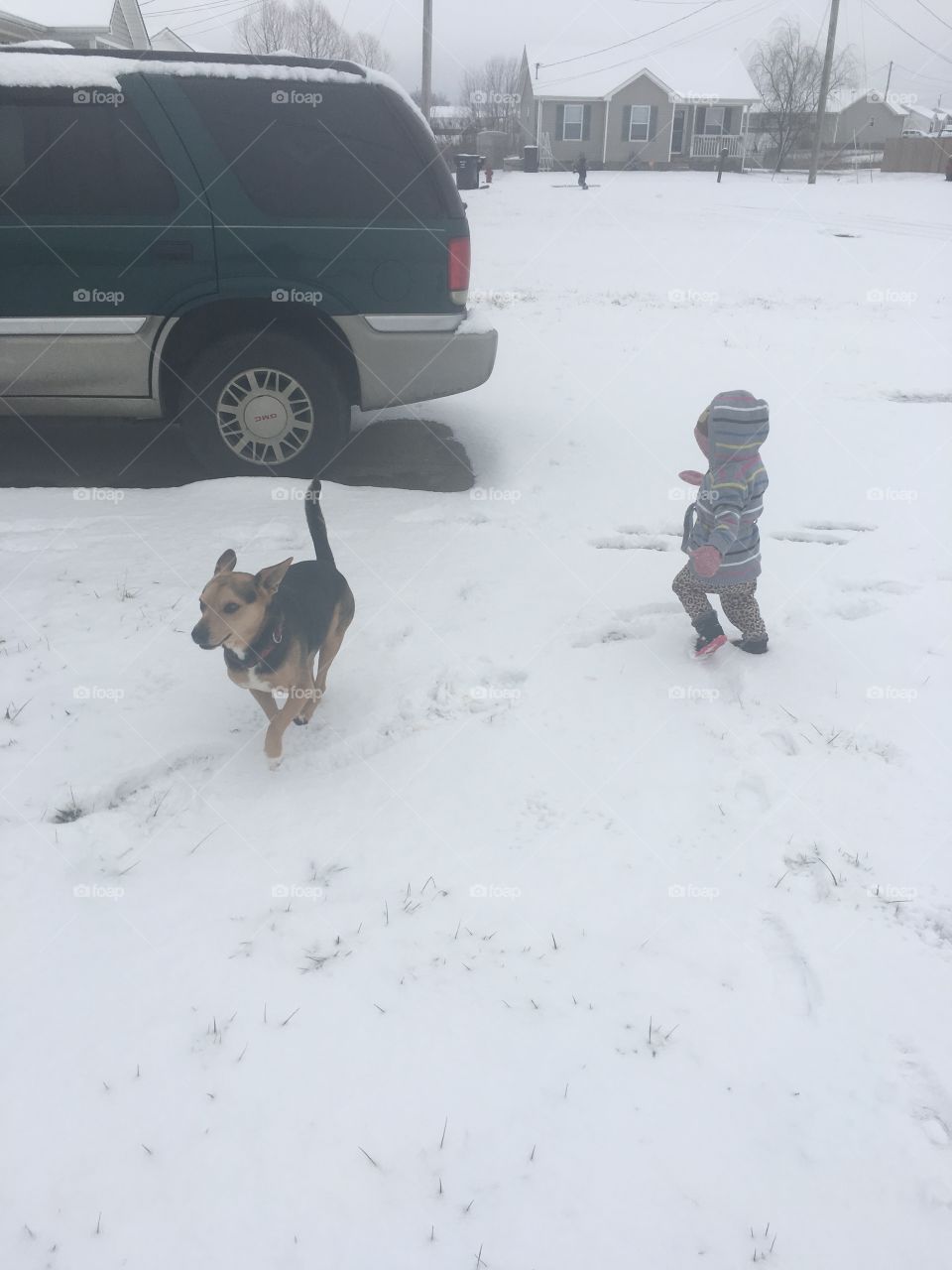 Snow fun